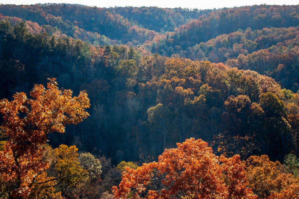 Gatlinburg Arts And Crafts Community