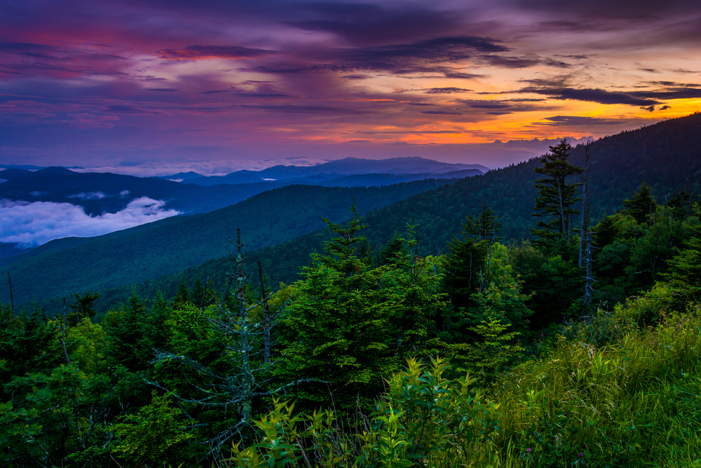 What Are The Seasons Like In Great Smoky Mountains?