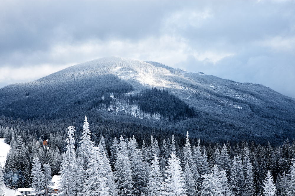 What Are The Seasons Like In Great Smoky Mountains?