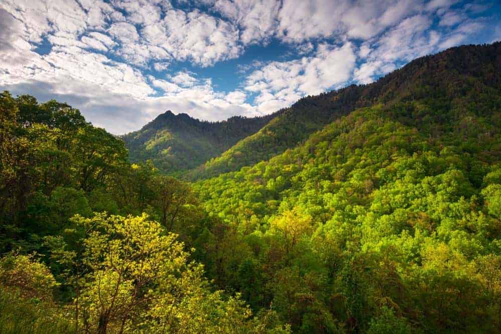 What Are The Seasons Like In Great Smoky Mountains?