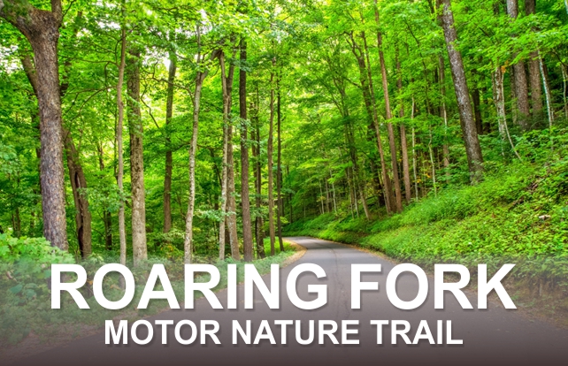 Roaring Fork Motor Nature Trail