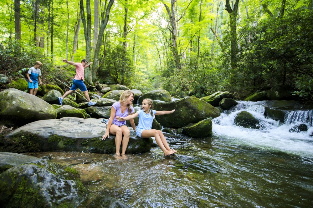 Roaring Fork Motor Nature Trail
