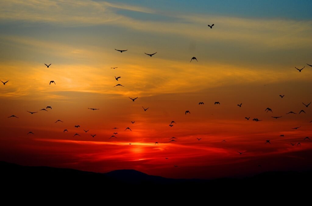 What Is So Special About The Great Smoky Mountains?