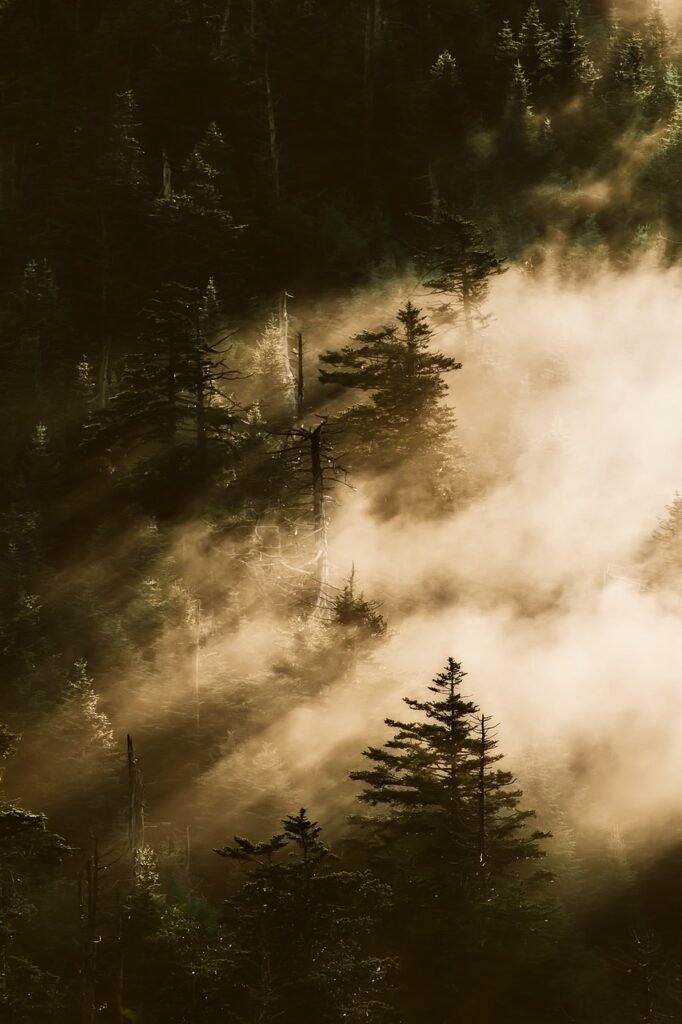 How Old Are The Smoky Mountains?