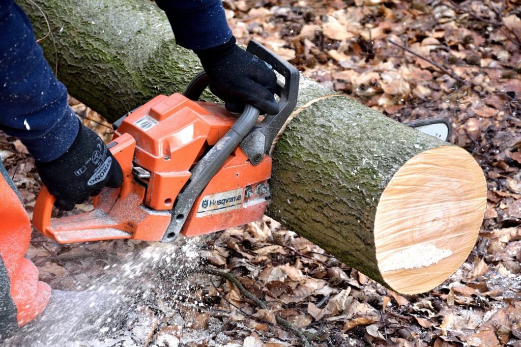 Paula Deens Lumberjack Feud