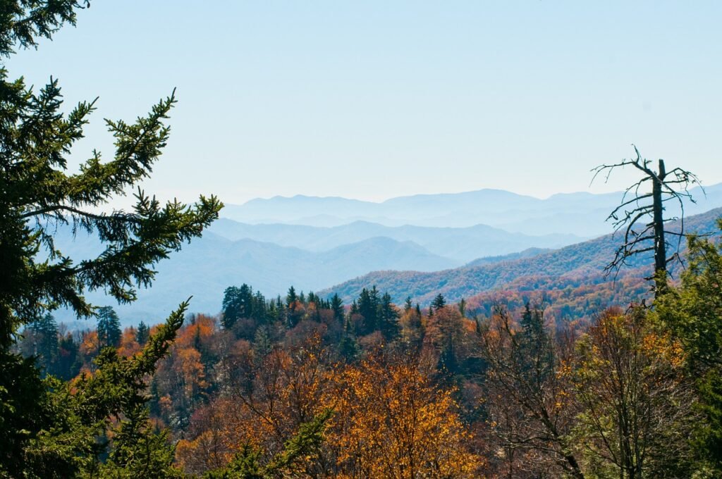 Which Is Cheaper Pigeon Forge Or Gatlinburg?