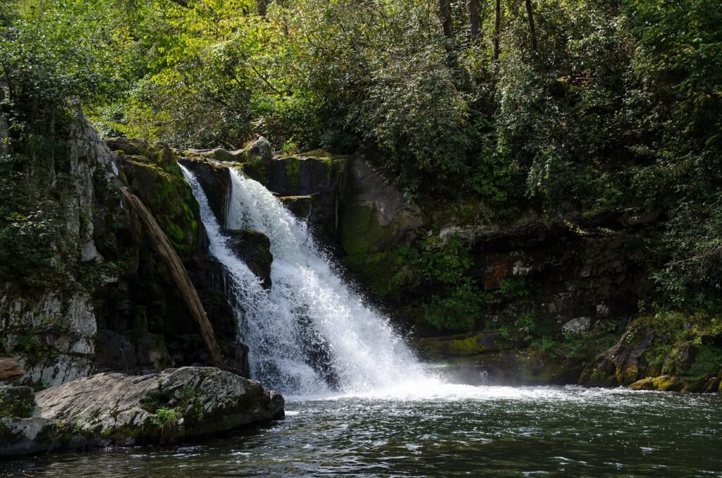 How Many Seasons Are There In The Great Smoky Mountains?