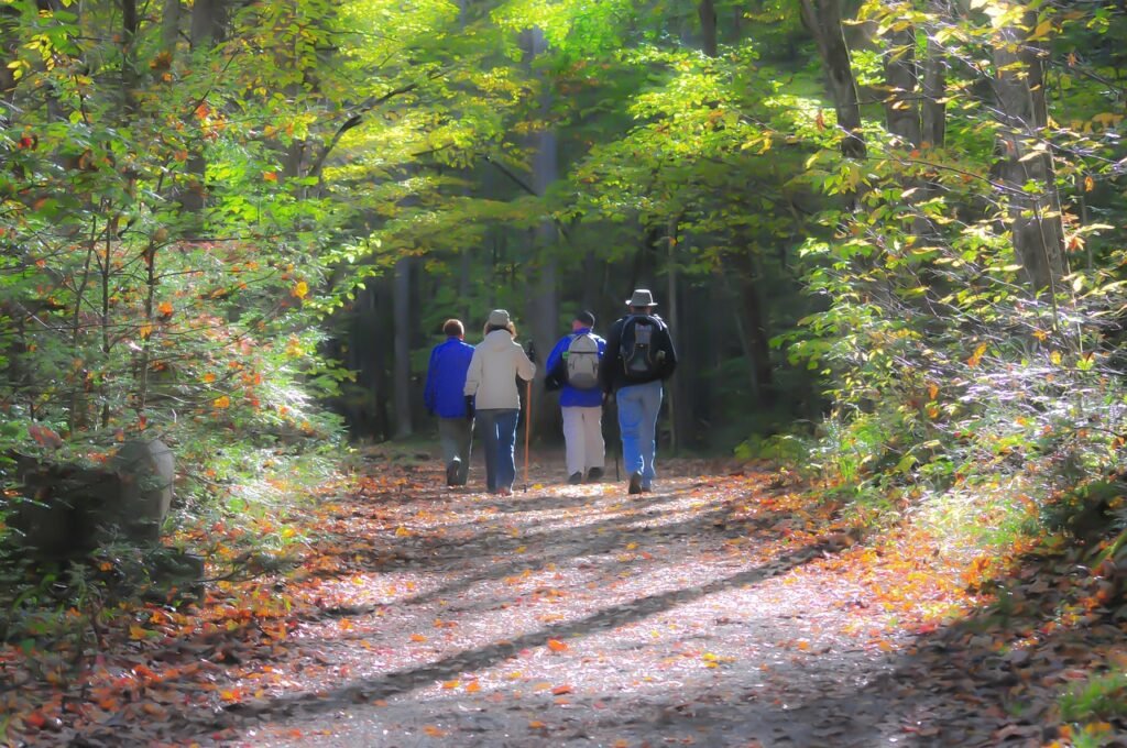 What Is The Most Visited Place In The Smoky Mountains?