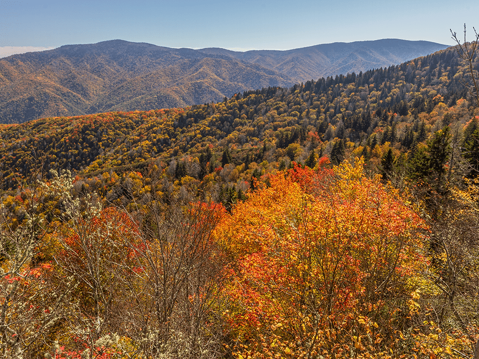 What Type Of Climate Is The Great Smoky Mountains?