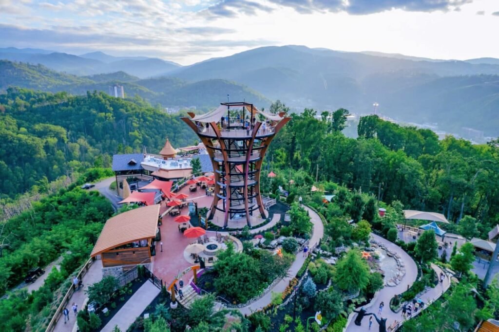 How To Choose The Right Family-friendly Experiences In Gatlinburg