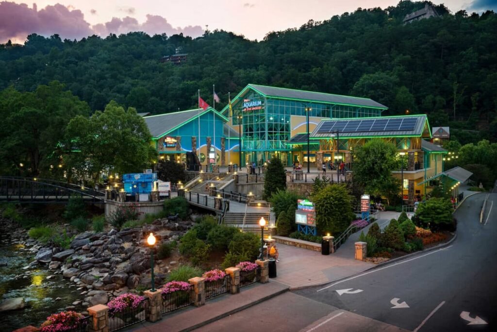 How To Choose The Right Family-friendly Experiences In Gatlinburg