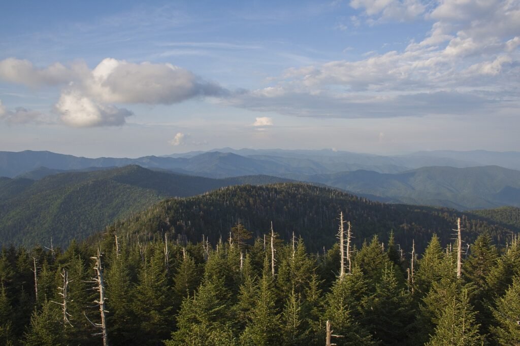 Which Is Nicer Gatlinburg Or Pigeon Forge?