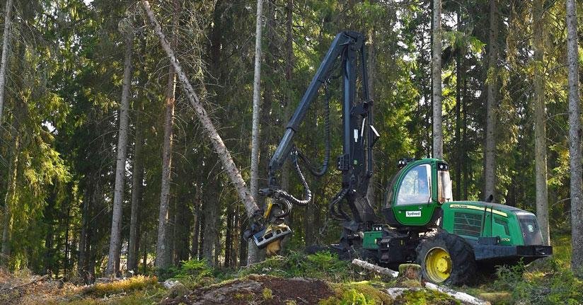 “Historic Timber Operations in the Smokies: Where Trees Built America”